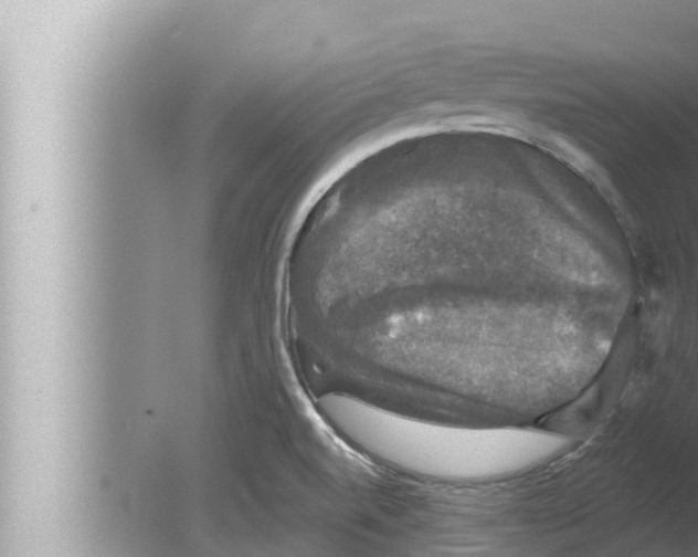 X0000080151520200612302114