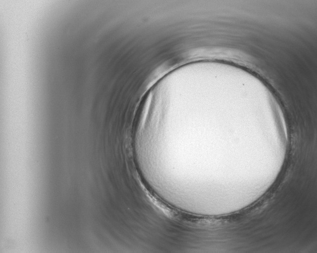 X0000080151521200612302114