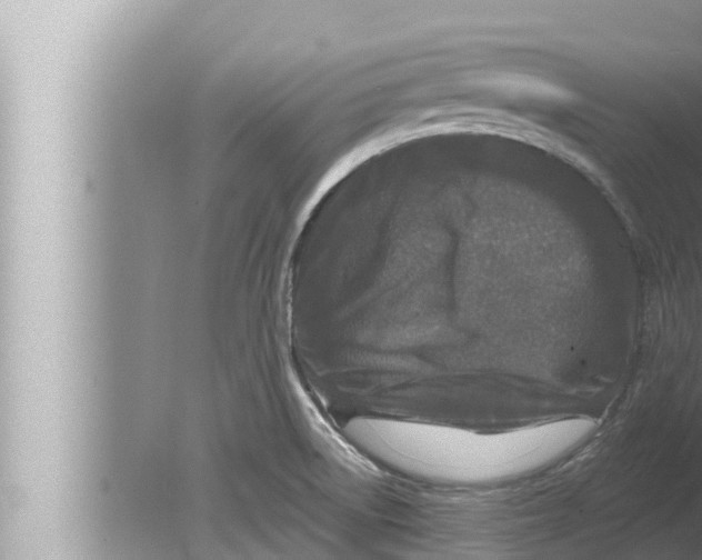 X0000080151522200612302114