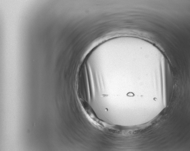 X0000080151523200612302114