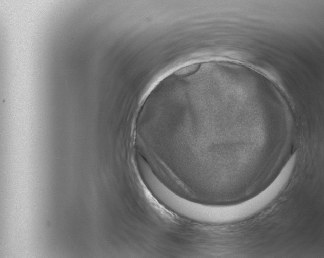 X0000080151524200612302114