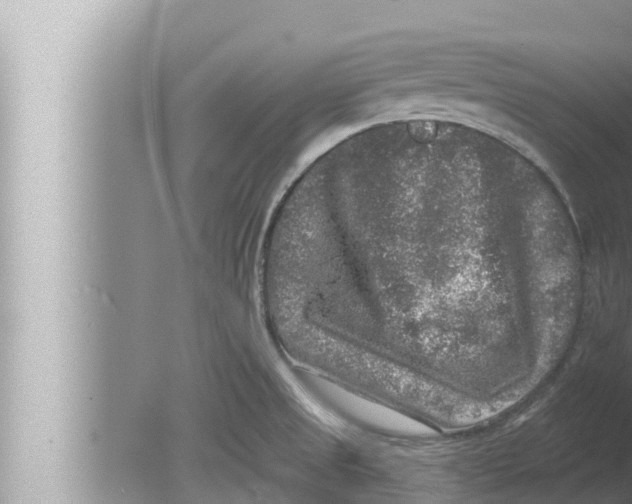 X0000080151525200612302114