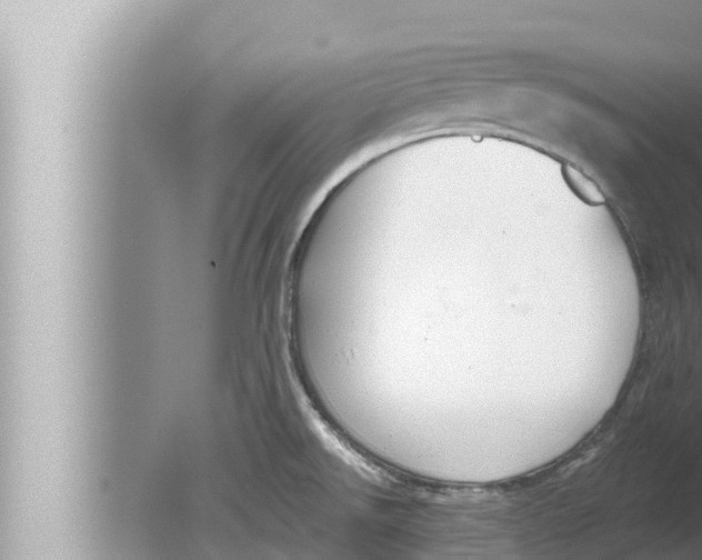 X0000080151526200612302114