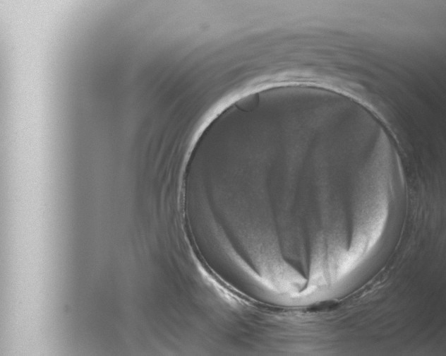 X0000080151527200612302114