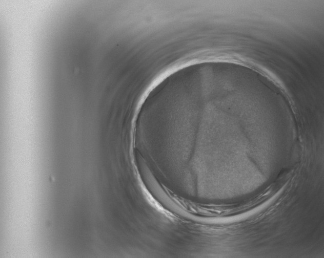 X0000080151528200612302114