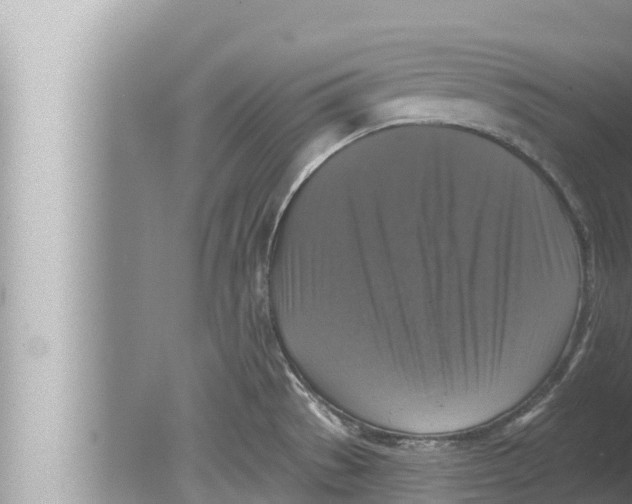 X0000080151529200612302114