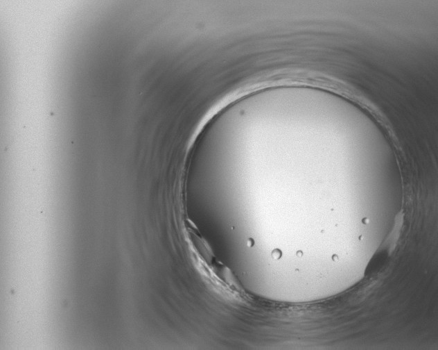 X0000080151530200612302114