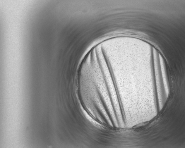 X0000080151531200612302114