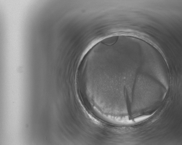 X0000080151533200612302114