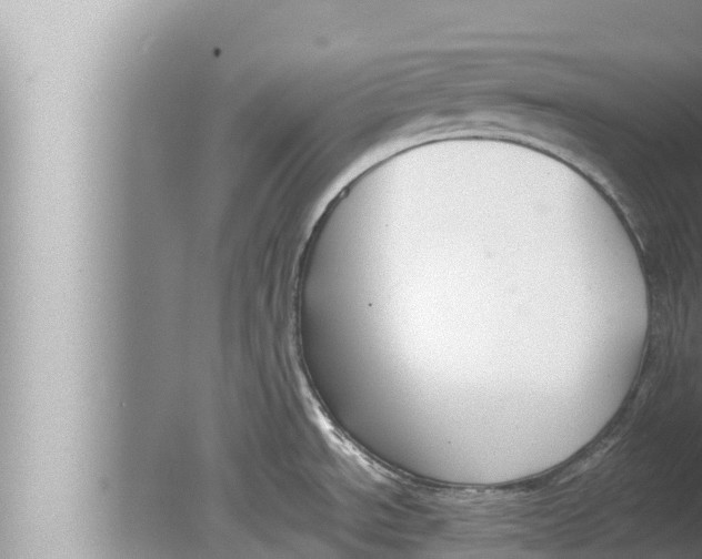 X0000080151534200612302115