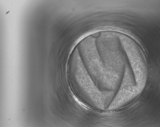 X0000080151535200612302115