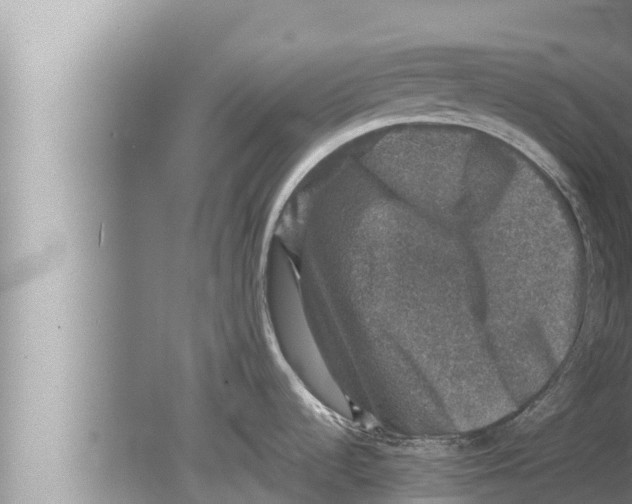 X0000080151536200612302115