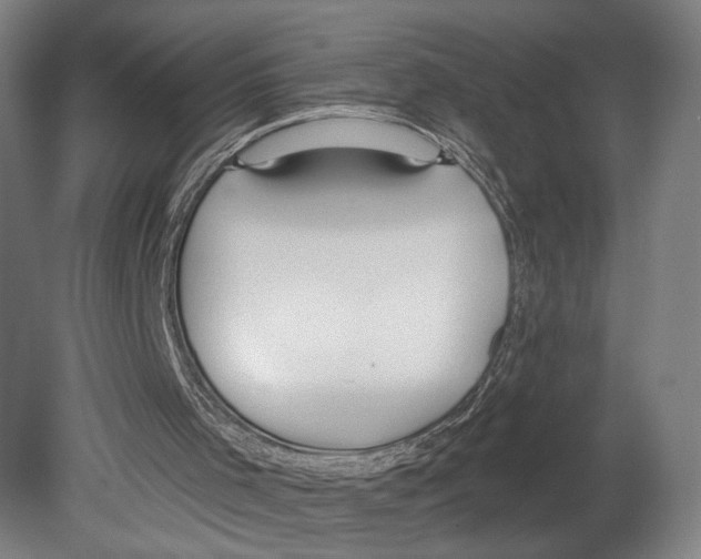 X0000080150001200701051551