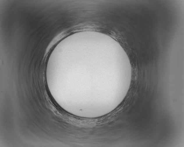 X0000080150004200701051551
