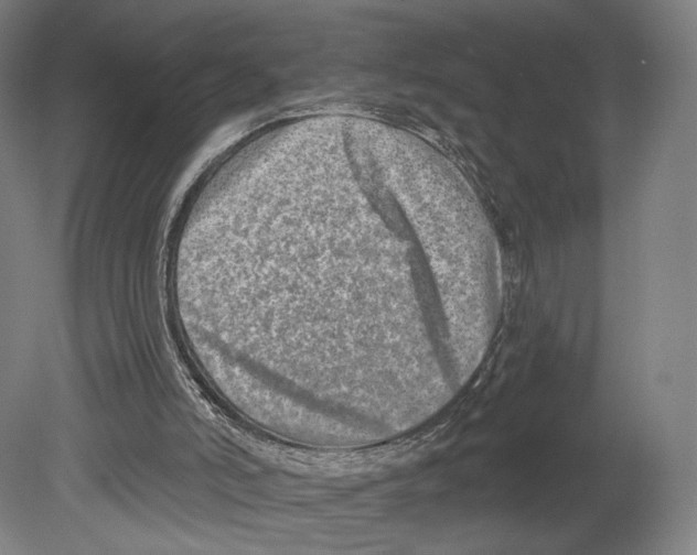X0000080150006200701051551