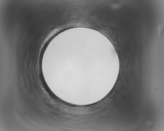 X0000080150008200701051551