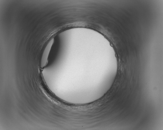 X0000080150013200701051551
