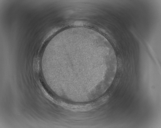 X0000080150016200701051551