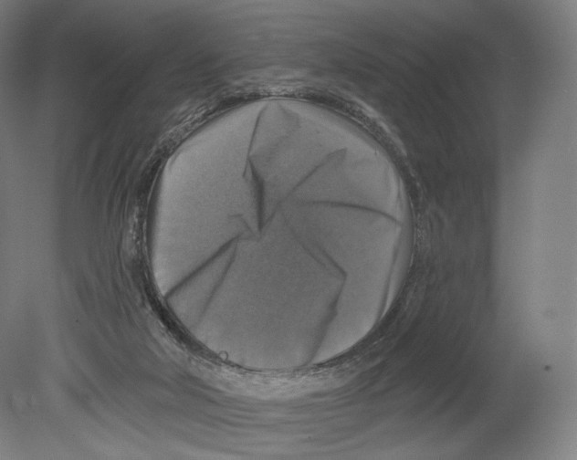 X0000080150018200701051551