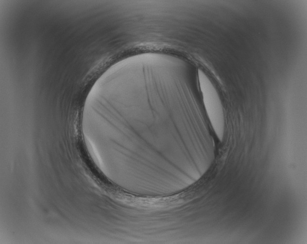 X0000080150023200701051551