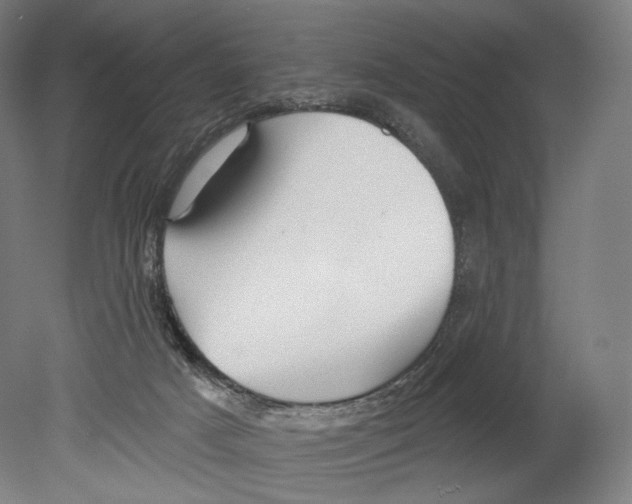 X0000080150025200701051551