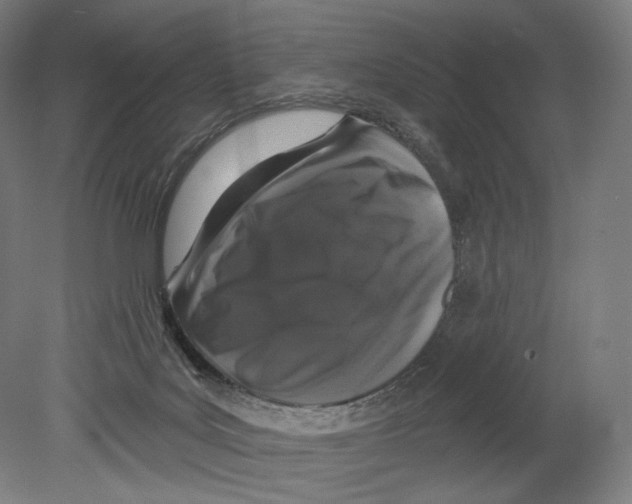 X0000080150027200701051551
