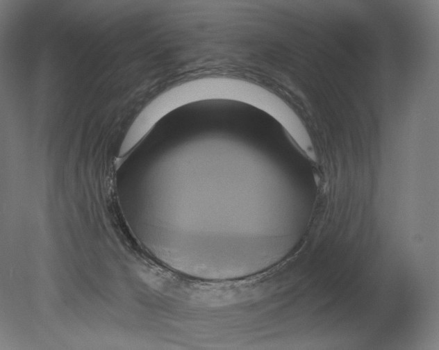 X0000080150029200701051551