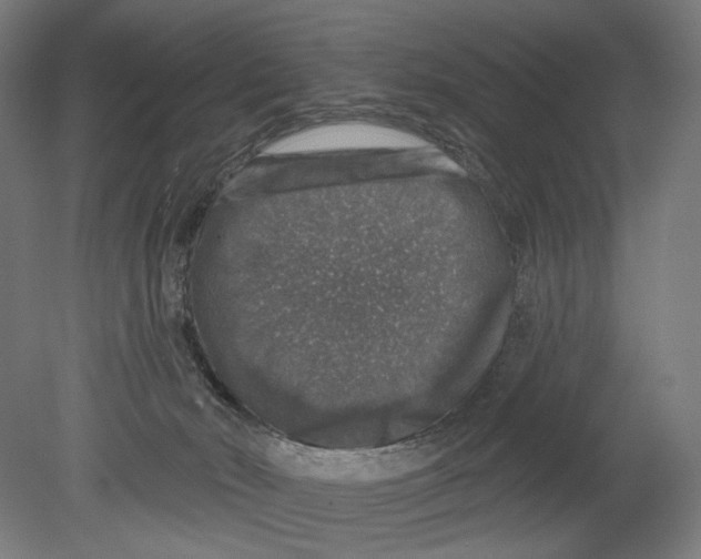 X0000080150030200701051551