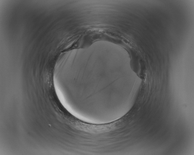 X0000080150031200701051551