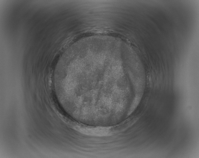 X0000080150032200701051551