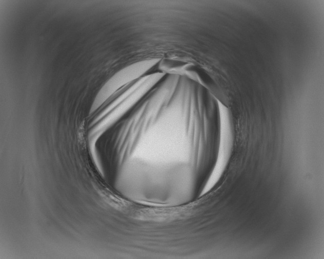 X0000080150033200701051551