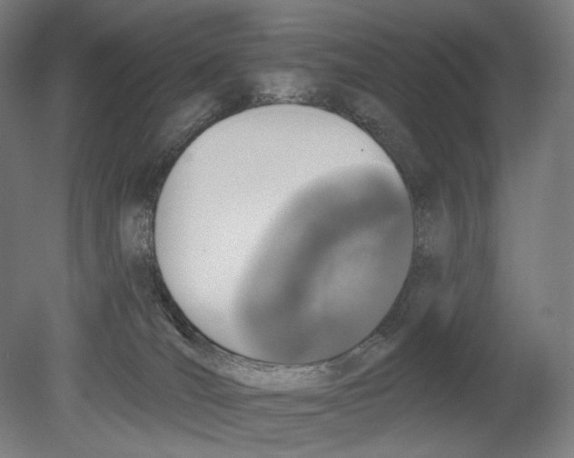 X0000080150036200701051551