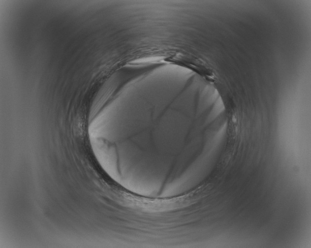 X0000080150039200701051551