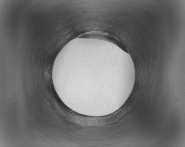 X0000080150040200701051551