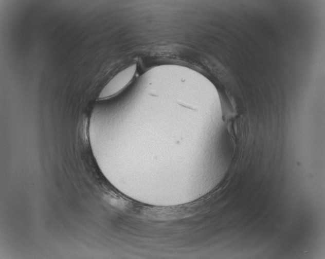 X0000080150041200701051551