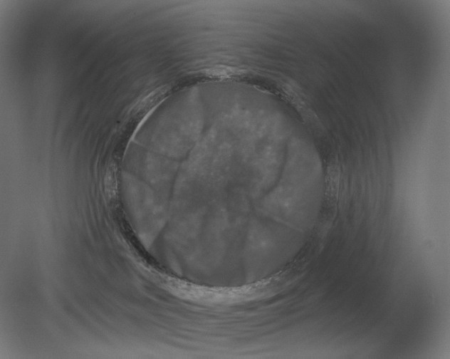 X0000080150043200701051551