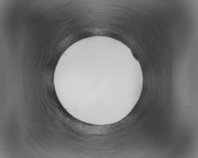 X0000080150044200701051551
