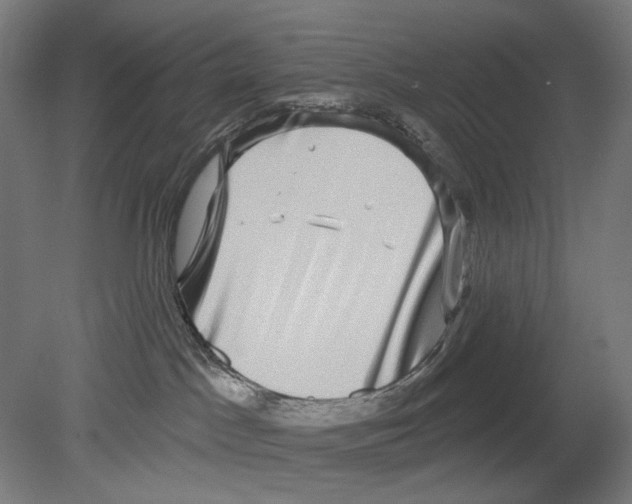 X0000080150045200701051551