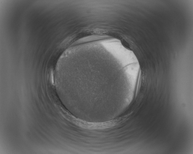 X0000080150046200701051551