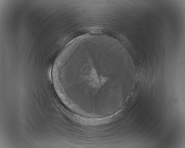 X0000080150047200701051551