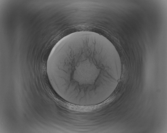 X0000080150048200701051551