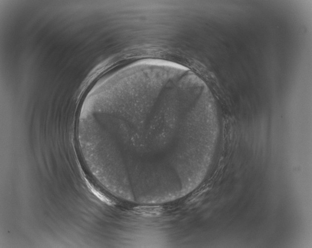 X0000080150051200701051550