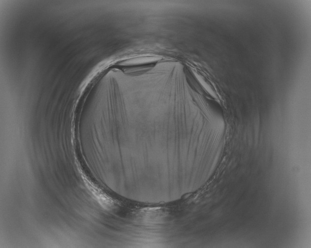 X0000080150054200701051550
