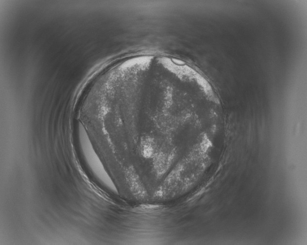 X0000080150055200701051550