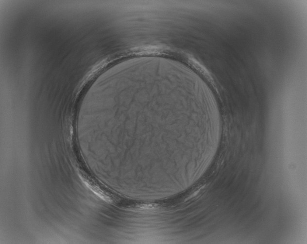 X0000080150059200701051550