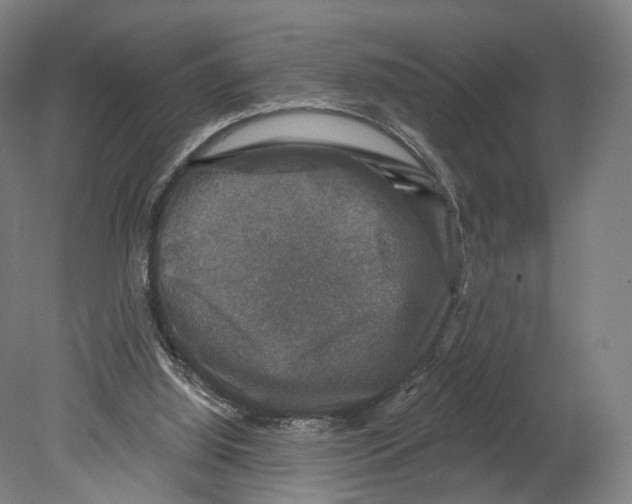 X0000080150060200701051550