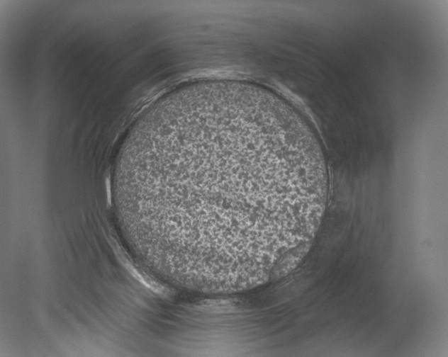 X0000080150061200701051550