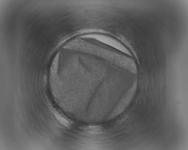 X0000080150063200701051550