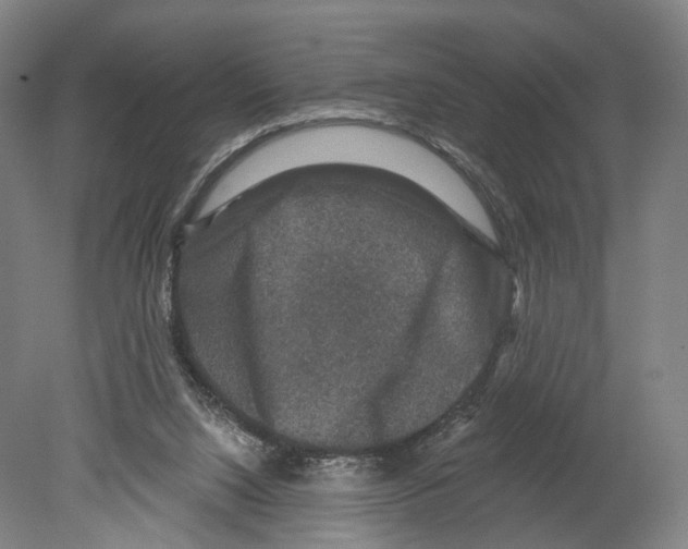 X0000080150064200701051550