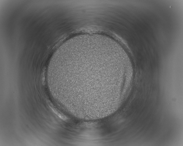 X0000080150065200701051550